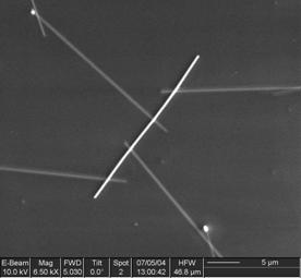 Picture: LiMo 3Se 3 nanowires with four Pt electrodes