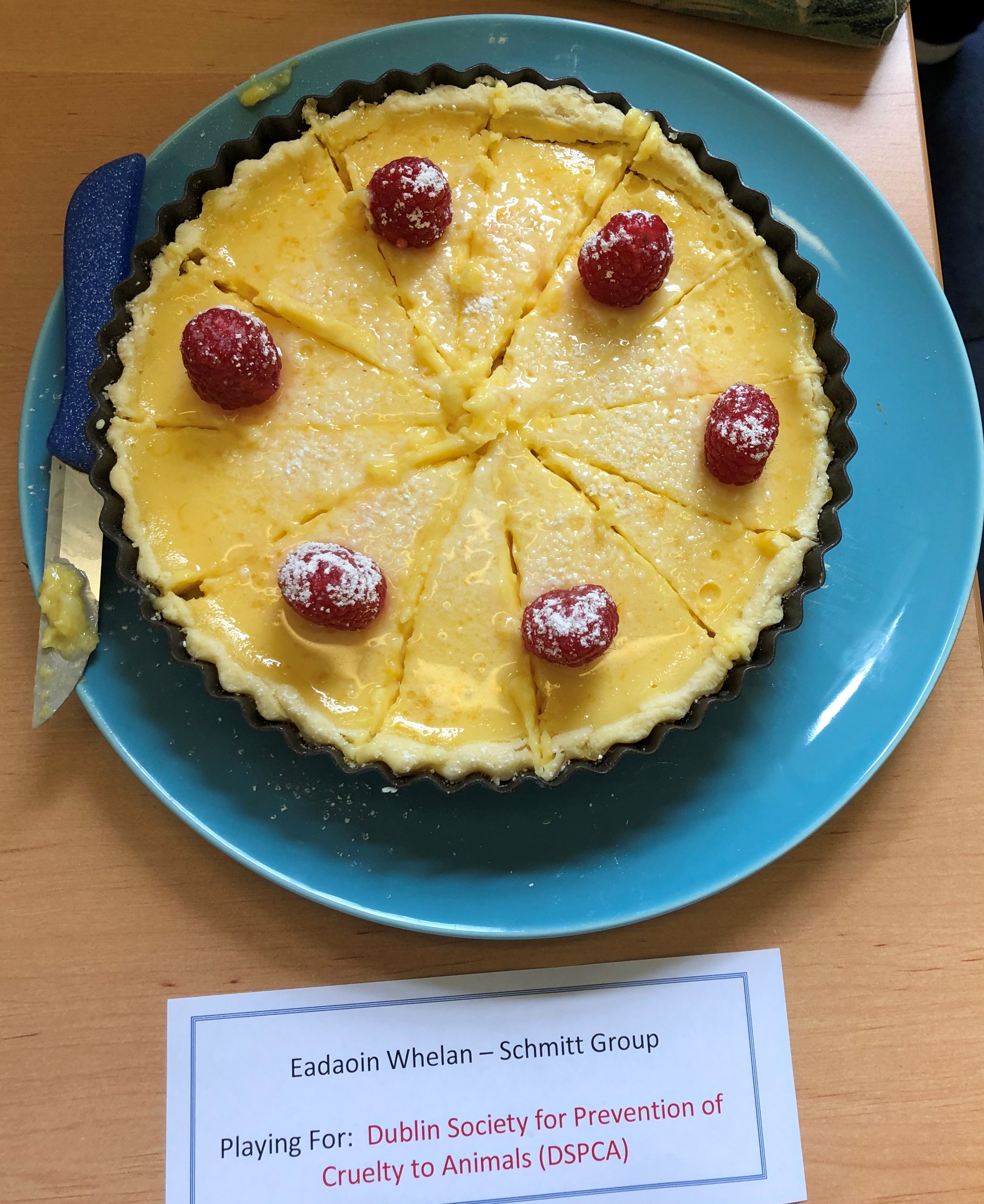 Lemon Tart decorated with raspberries and icing sugar