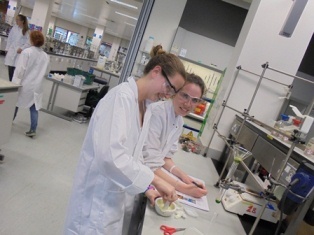 students working in lab