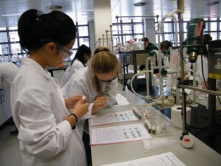 students working in Cocker Lab TCD