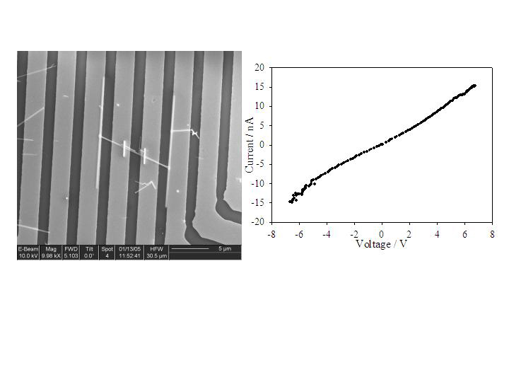 Picture: SEM image as per description