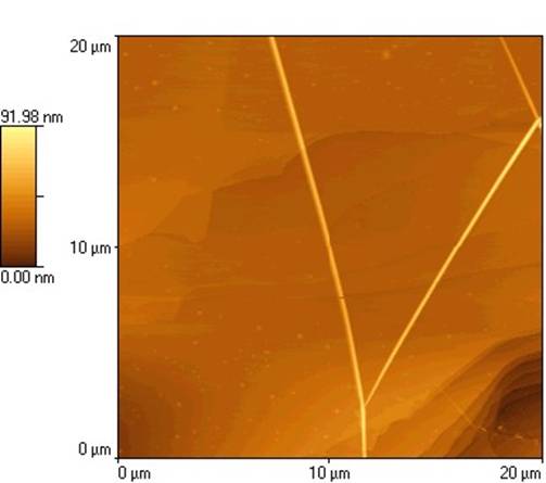 Picture: AFM image showing LiMo 3Se 3 nanowire