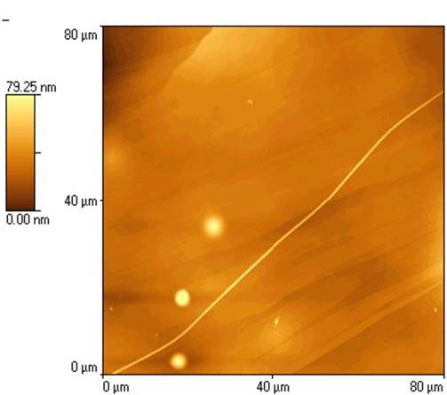 Picture of more than 80 nanometre long LiMo 3Se 3 nanowire