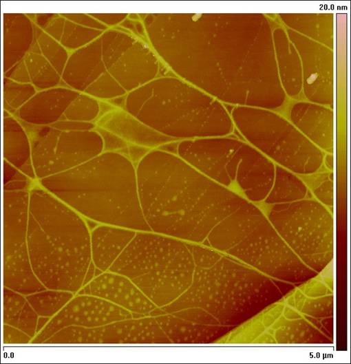 Picture: LiMo 3Se 3 “neuronal” nanowire network