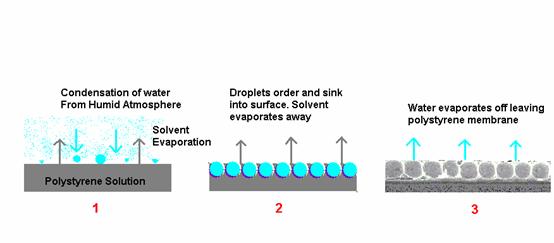 Picture: The three stages of the mechanism for the formation of ordered membranes