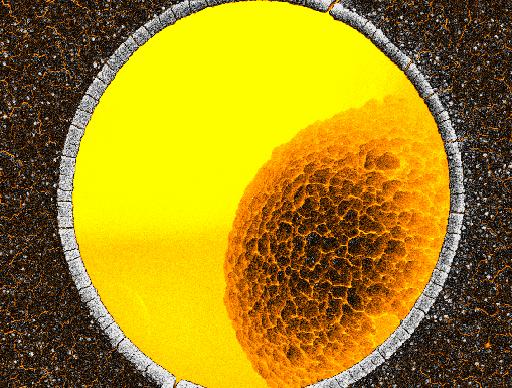 Picture: Melamine Formaldehyde microsphere nestling in a pore