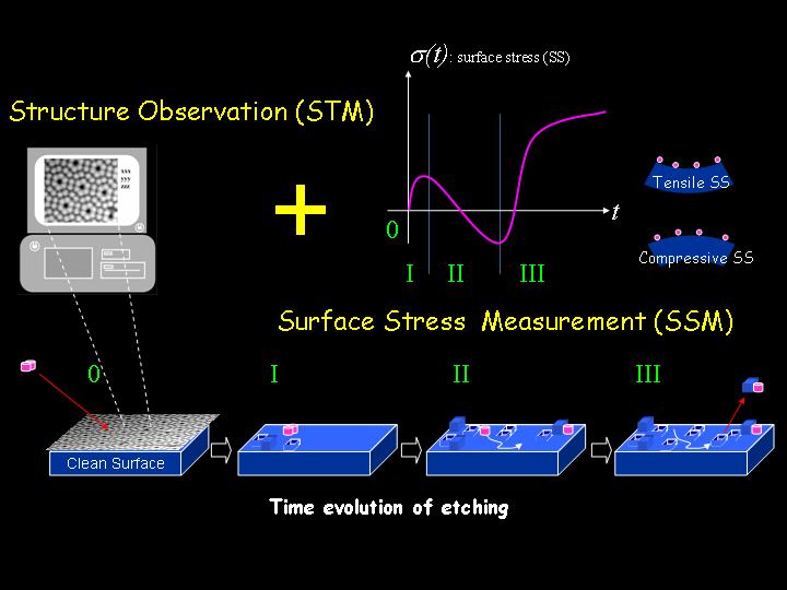 Real-time and In-situ Surface Stress and STM Measurements