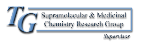 The TG Supramolecular and Medicinal Research Group - Research Supervisor