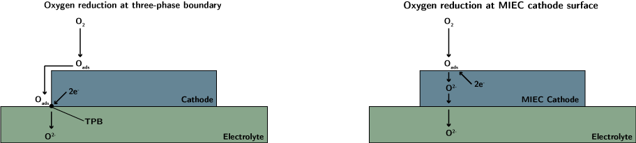 ORR at TPB, ORR at MIEC cathode surface